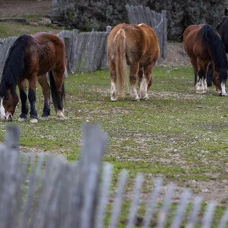 Respira Glamping Campo de lujo Montseny