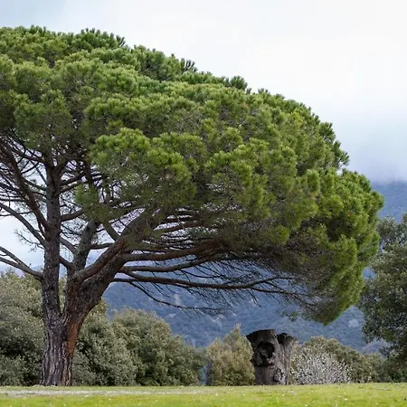 Luxury tent Respira Glamping *